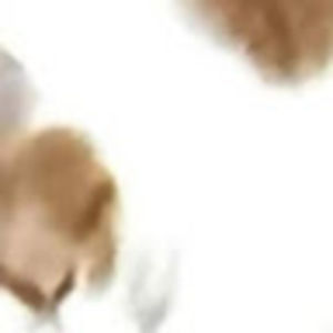 Meet your Posher, Ava